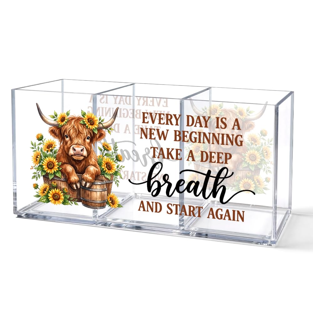 It's Fine 3 Compartment Acrylic Makeup Organizer & Pen Holder, Black Cat Cosmetic Storage Box for Lipstick Brushes Skincare, Desk Organizer for Office School Vanity, Office Gifts for Coworker